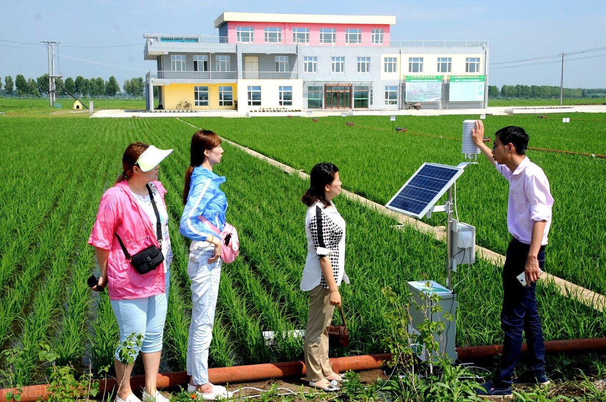 智慧農業未來:物聯網+農業:連接性如何改變農業