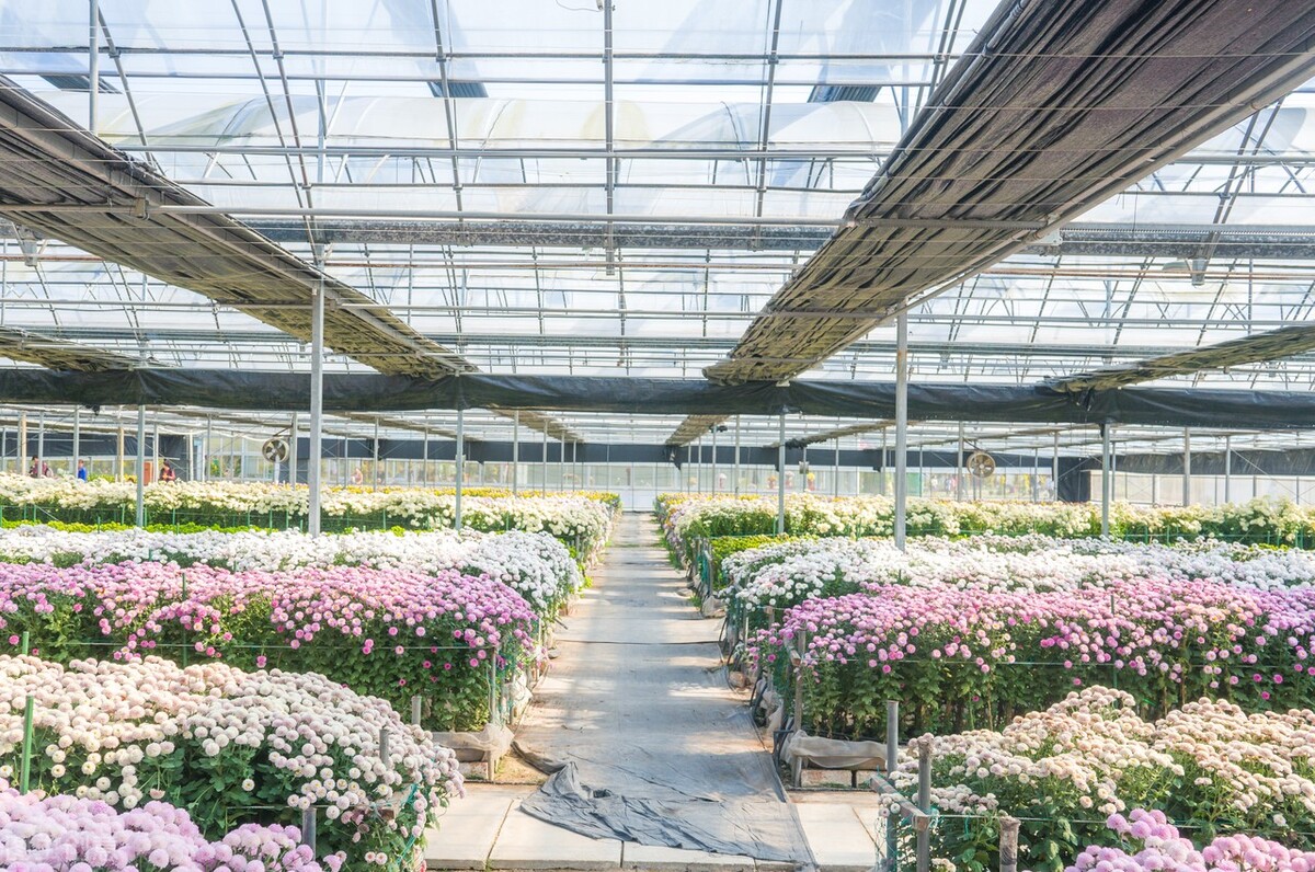 智慧農業未來:物聯網+農業:連接性如何改變農業