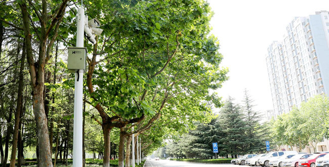 慧停車膠州市上海路管理路段