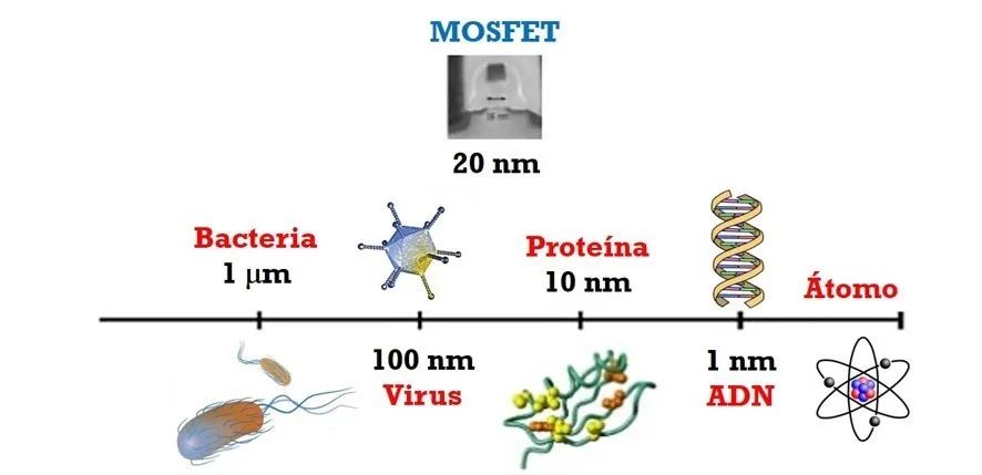 芯片上的晶體管有多小?