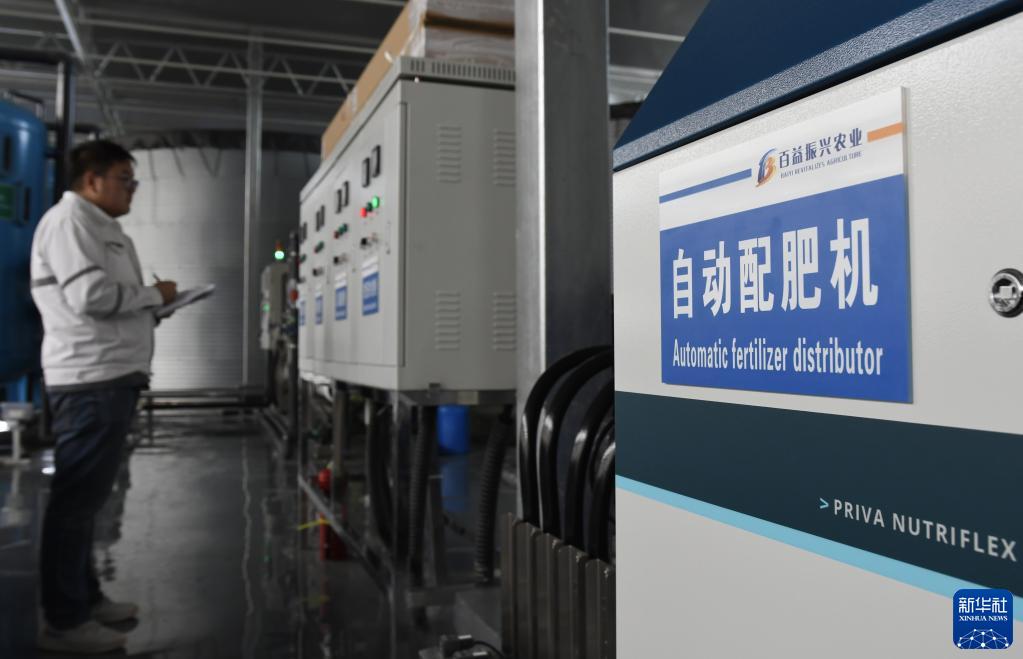 甘肅和政:智慧農業助力花卉產業升級