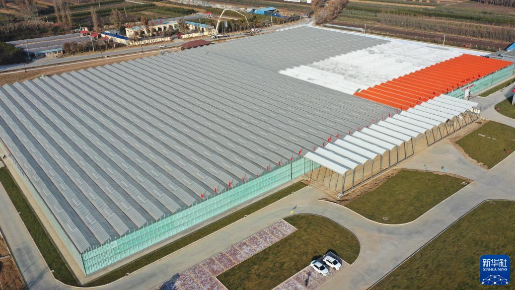 甘肅和政:智慧農業助力花卉產業升級