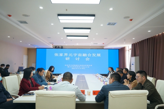 張家界元宇宙研討會現場 張家界元宇宙研討會現場