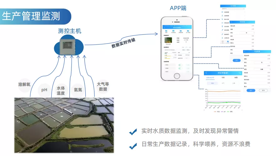 當傳統漁業遇上物聯網，火花四起效益高