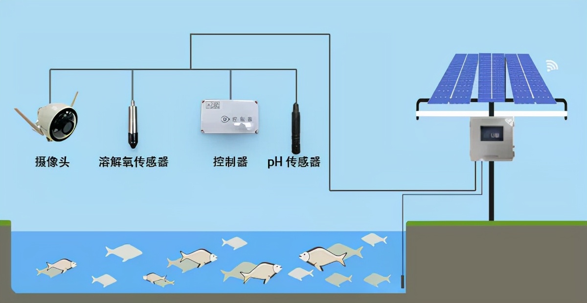 當傳統漁業遇上物聯網，火花四起效益高
