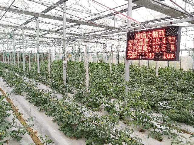 鄧家埠水稻原種場農業科學研究所物聯網大棚 鄧家埠水稻原種場農業科學研究所物聯網大棚