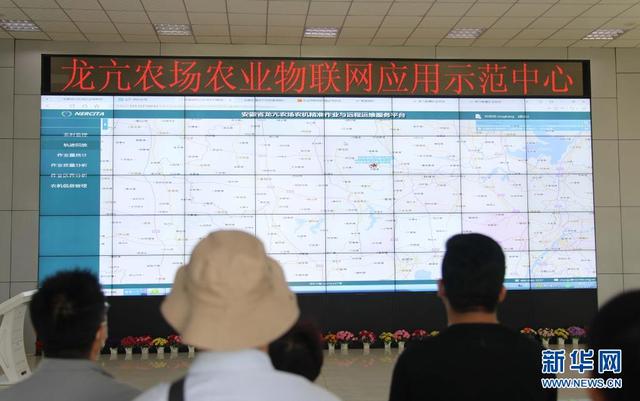 耕讀“三農”|農業物聯網讓農業“可感知”