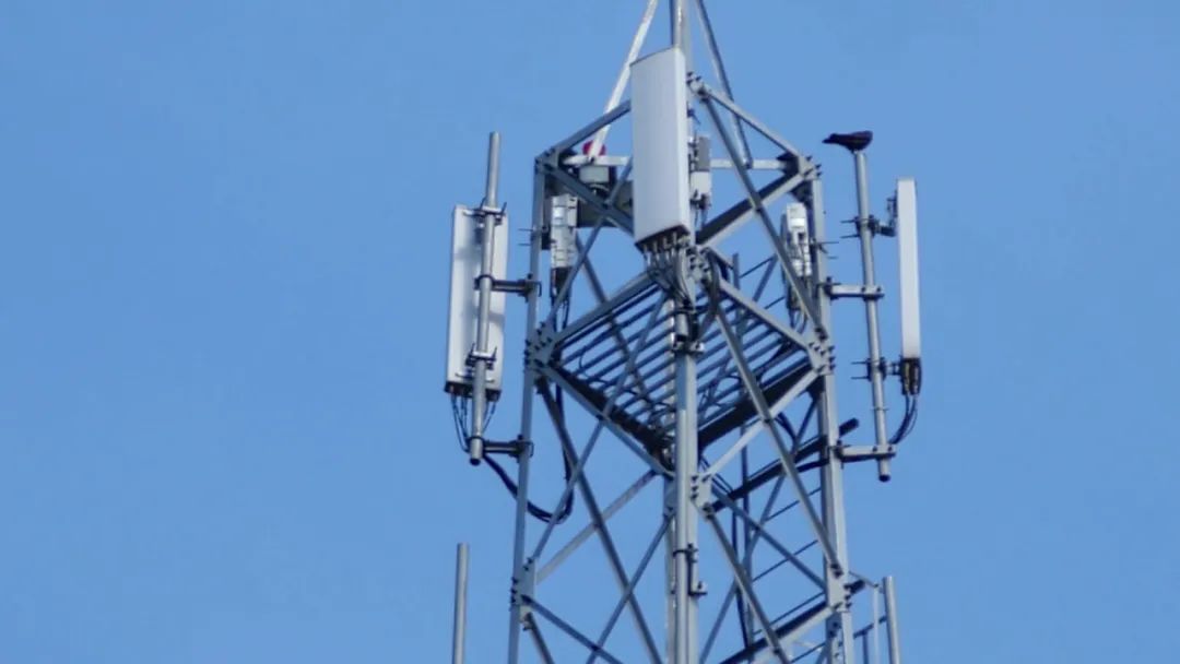 5G殺手锏?小基站大規模集采在即,中小廠商能否突圍華為、中興?