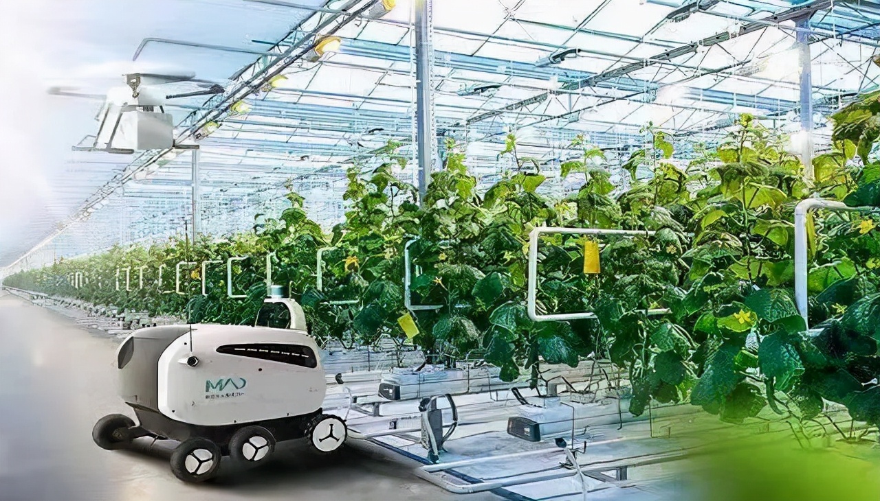 智慧農業：極大地提高農業生產經營的綜合效率，讓農民更有尊嚴