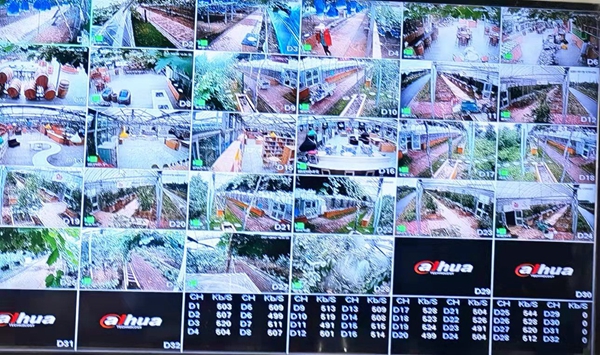 縣農業物聯網信息中心觀測大屏