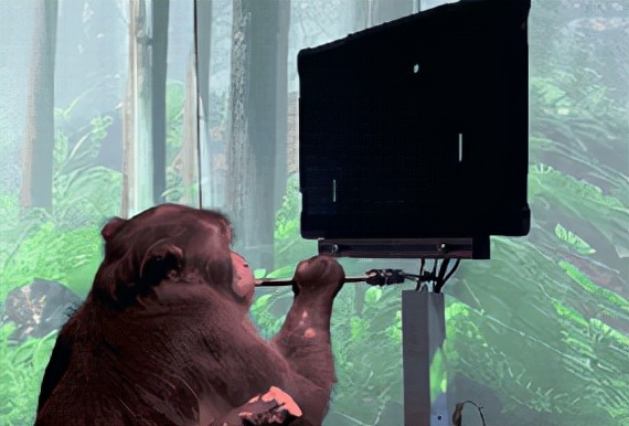 人工智能芯片直連大腦,“腦機接口”大突破