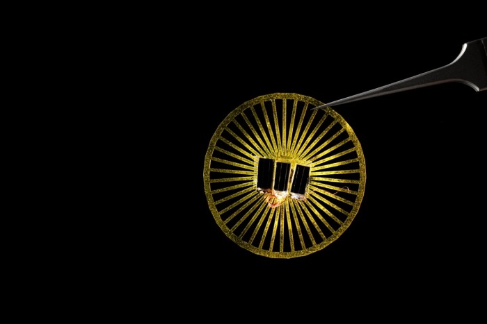 科學家打造微型蒲公英傳感器原型 可輕松構建大規模環境監測網絡