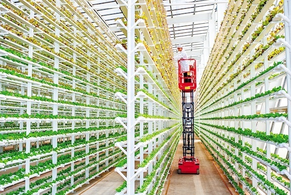 “物聯網+農業”一年釆收9茬