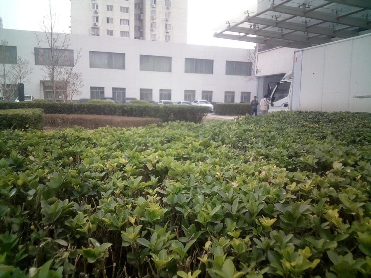 打假315 揭開超低價手機虛假宣傳的面紗