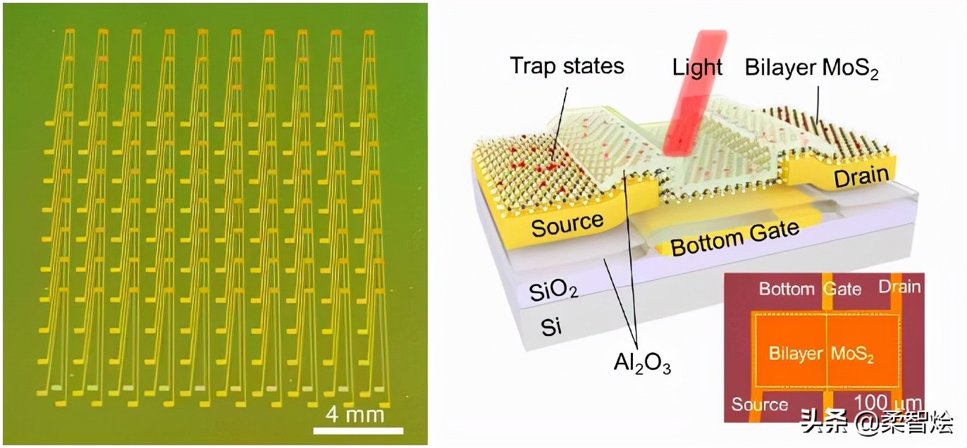超薄半導體的光電晶體管型視覺傳感器可提供更自適應的視覺感知