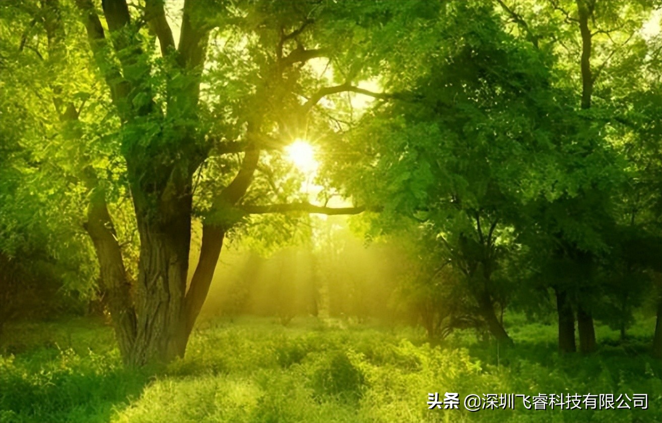 飛睿智能MESH自組網模組,遠程WiFi無線傳輸,CV5200實時通信技術