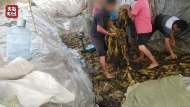 兒童智能手表竟成行走的偷窺器?315曝光的這些科技黑幕比老壇酸菜還“酸爽”