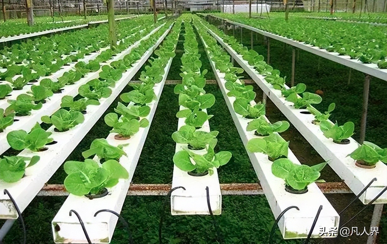 農業+互聯網+物聯網在產業融合中的應用