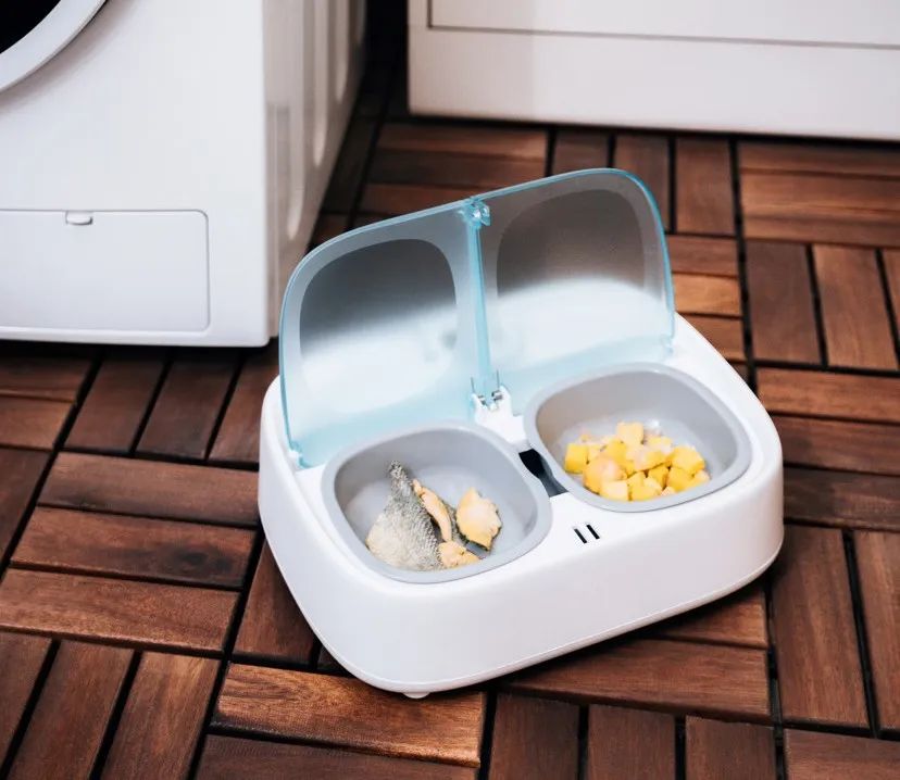 涂鴉智能聯合知名寵物品牌湃妮全球首發「智能人汪情感翻譯器」