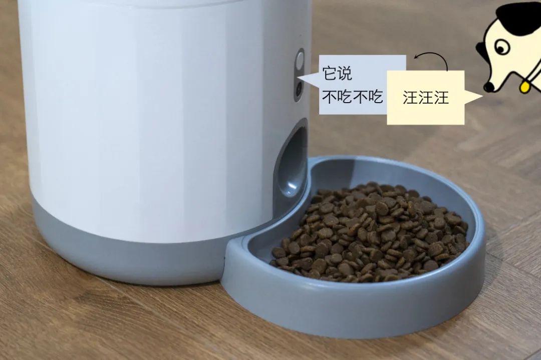 涂鴉智能聯合知名寵物品牌湃妮全球首發「智能人汪情感翻譯器」