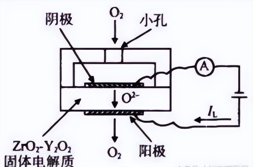 固體電解質氣體傳感器內部構造 固體電解質氣體傳感器內部構造