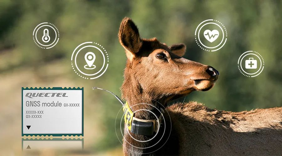 用物聯網技術促進人與自然和諧共生