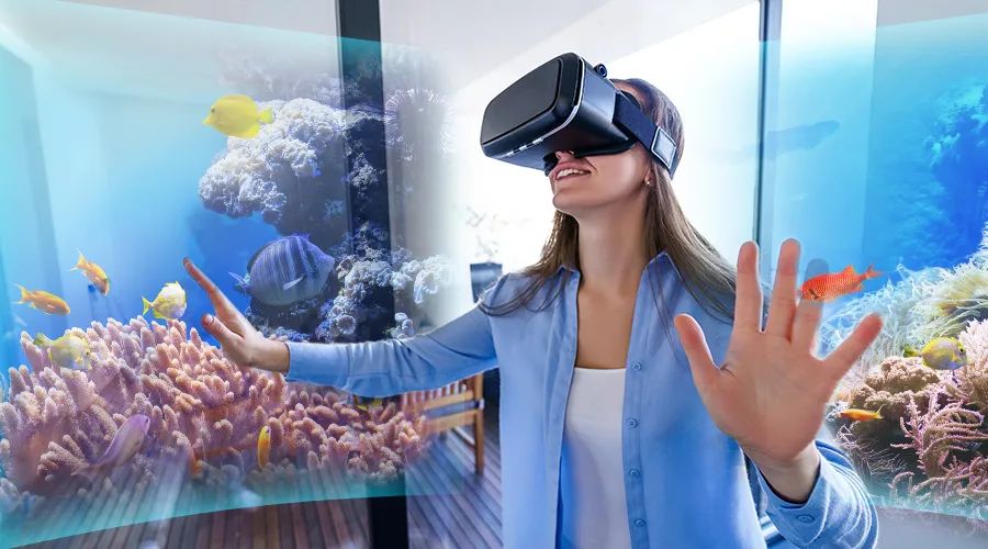 用物聯網技術促進人與自然和諧共生