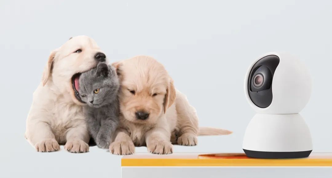 獨居女生秒變大叔腔、鏟屎官用攝像頭逗貓，這些物聯網企業如何致勝市場？