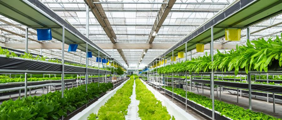 智慧農業 智慧農業