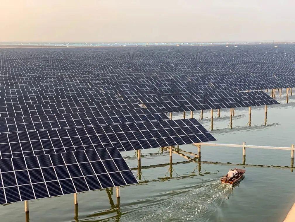 通威東營200MW“漁光一體”項目 通威東營200MW“漁光一體”項目