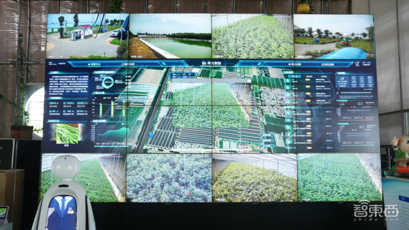 山東壽光“設施蔬菜智腦”大屏 山東壽光“設施蔬菜智腦”大屏