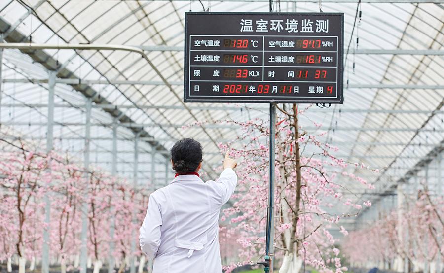 智慧農業場景應用 智慧農業場景應用