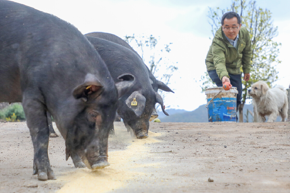 “二師兄”們 “二師兄”們