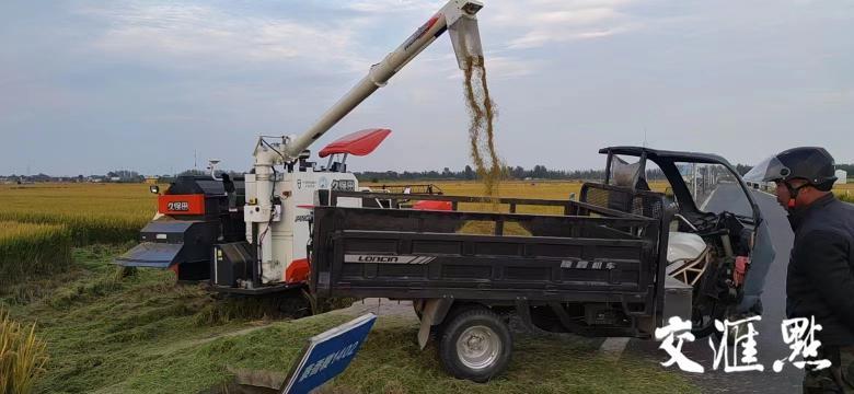 手機上種田,無人化種田!智慧農場“智”在哪? 手機上種田,無人化種田!智慧農場“智”在哪?