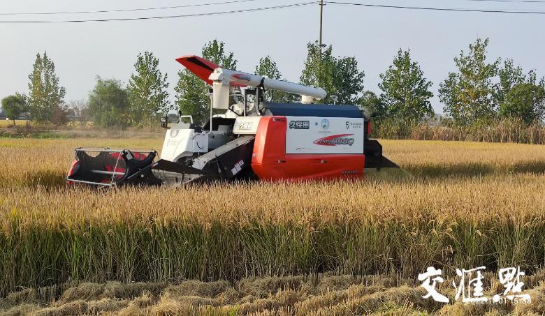 手機上種田,無人化種田!智慧農場“智”在哪? 手機上種田,無人化種田!智慧農場“智”在哪?