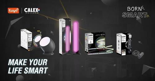 BornSmart英國站帶你了解智能家居如何打好“節能牌” BornSmart英國站帶你了解智能家居如何打好“節能牌”