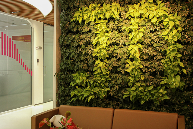 智能綠化兼顧美感與交互