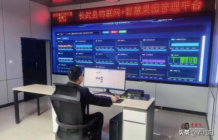 物聯網+智慧農業 推進長武縣數字農業建設高質量發展 物聯網+智慧農業 推進長武縣數字農業建設高質量發展