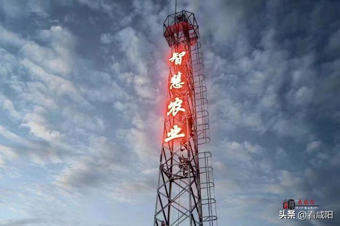 物聯網+智慧農業 推進長武縣數字農業建設高質量發展 物聯網+智慧農業 推進長武縣數字農業建設高質量發展