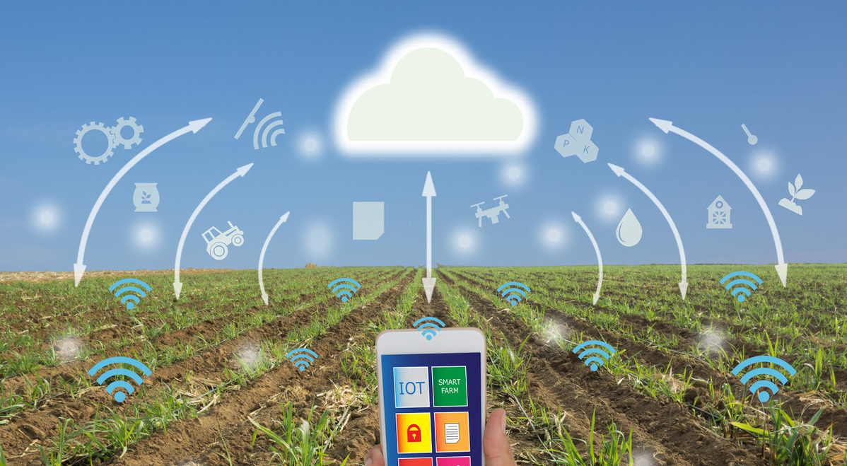 農業物聯網是什么,都有哪些領域在應用? 農業物聯網是什么,都有哪些領域在應用?