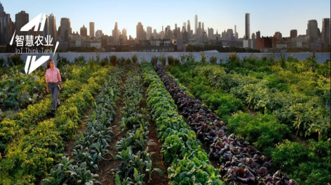 從播種到收割，一場誕生于田間地頭的智慧農業革命！