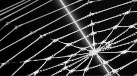 蛛網靈感打造最精密微芯片傳感器