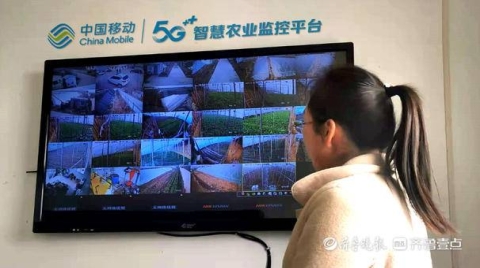 “5G+智慧農業”初見成效，淄博移動發揮技術優勢助力鄉村振興