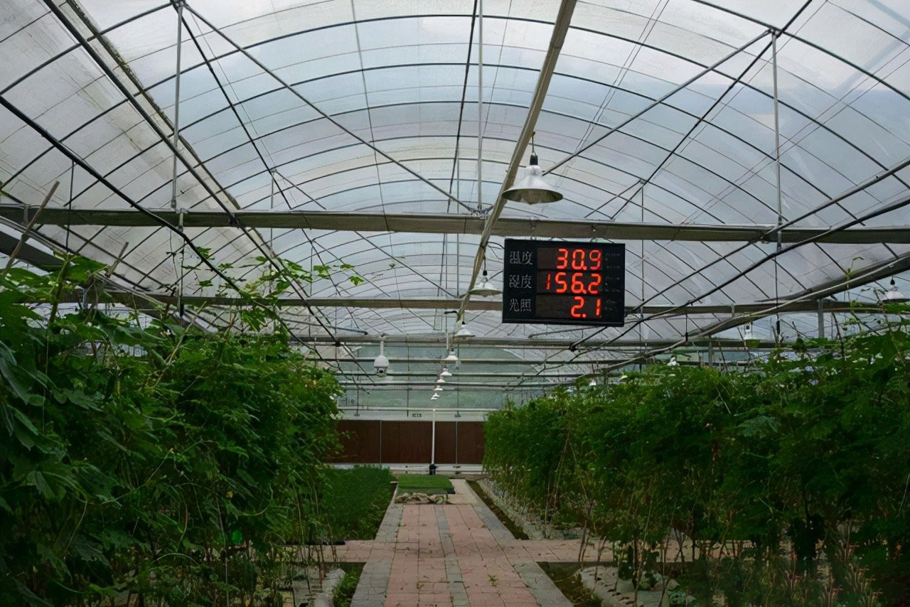 智慧農業3 智慧農業3