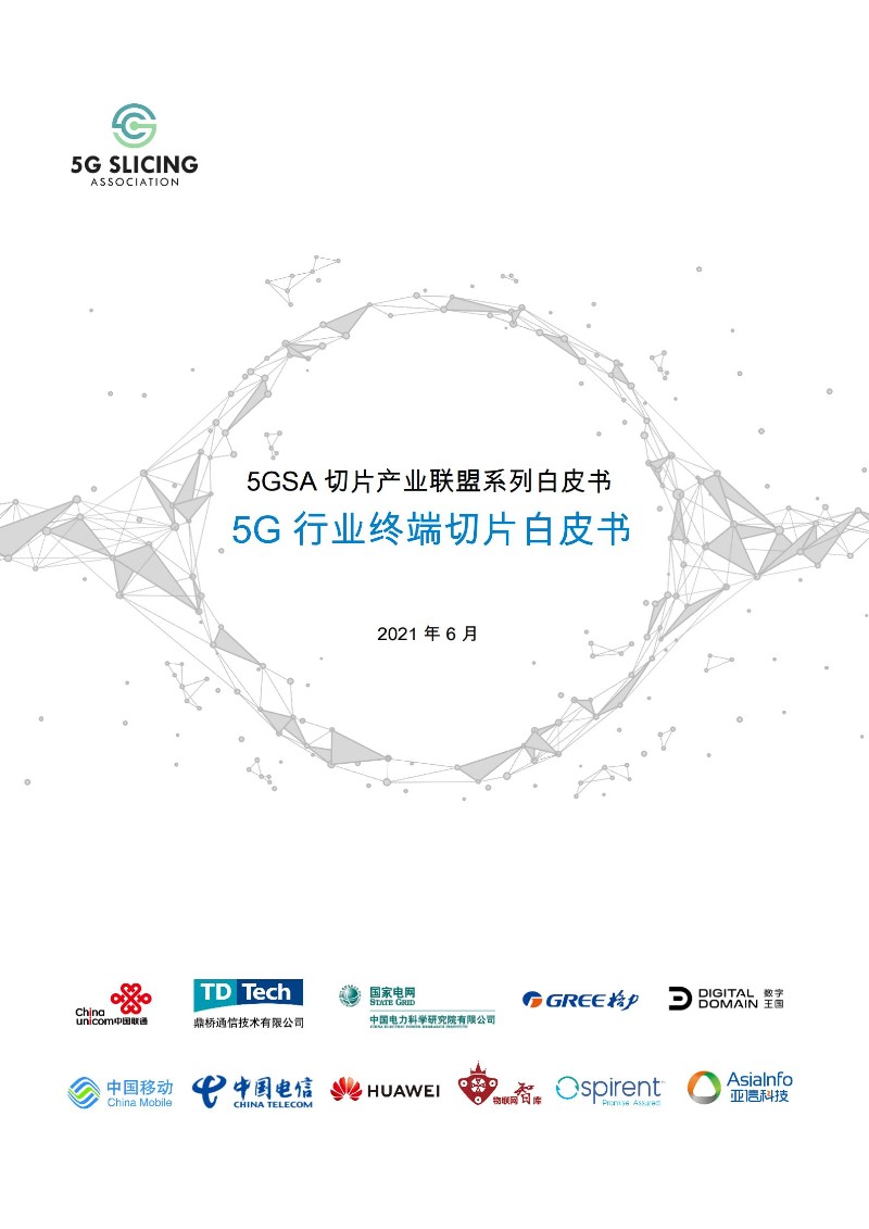 5G 行業終端切片白皮書_00