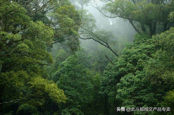 林業防護 林業防護