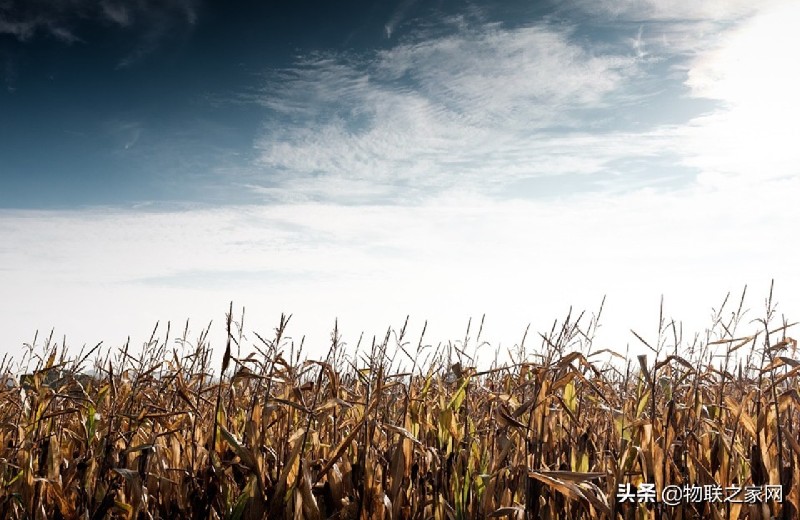 物聯網改變農業的 6 種方式 物聯網改變農業的 6 種方式