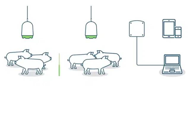 國內首款豬只呼吸道疾病數字化智能監測工具上市 國內首款豬只呼吸道疾病數字化智能監測工具上市