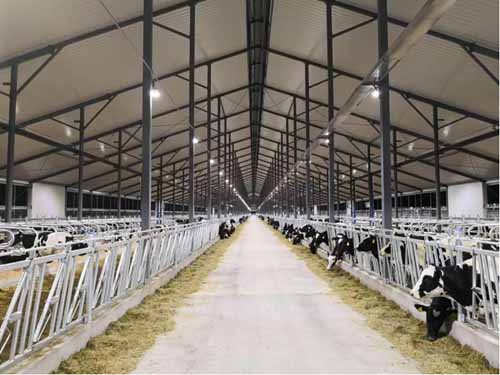 順舟智能助力大理洱源牧場智慧照明建設 順舟智能助力大理洱源牧場智慧照明建設