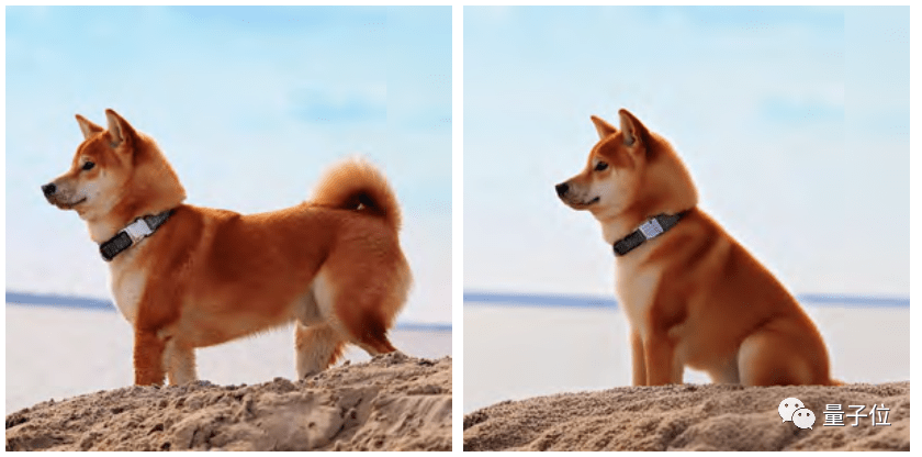 谷歌P圖神器來了! 谷歌P圖神器來了!